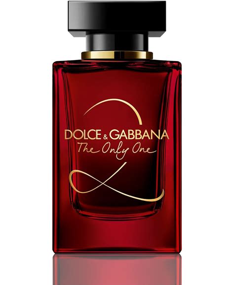 perfume dolce gabbana en macy's|dolce and gabbana female perfume.